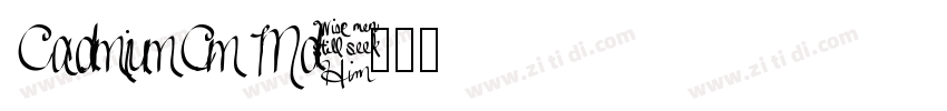 CadmiumCm Md字体转换